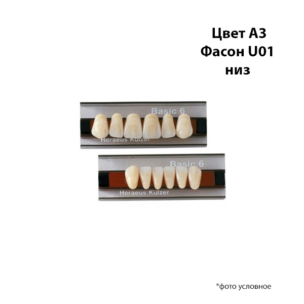 Зубы Basic 6 цвет А3 фасон U01 низ купить