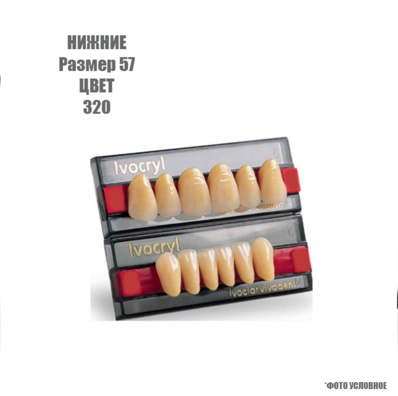 Зубы искуственные фронтальные нижние Ivoclar Set of 6 L UK57 320 купить