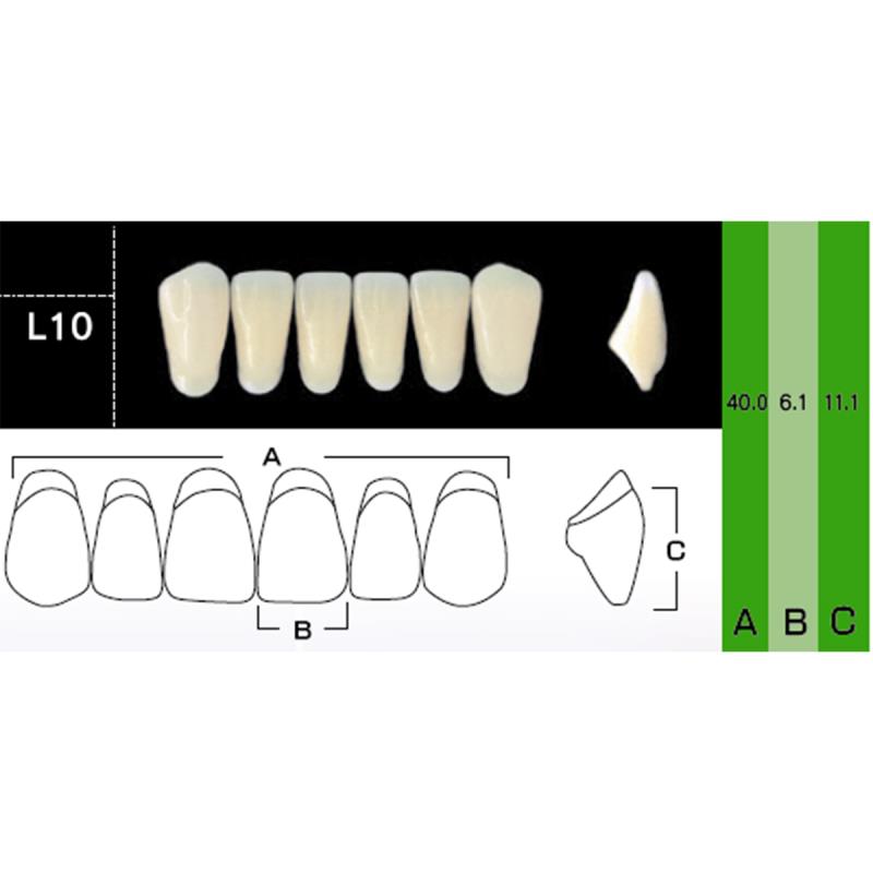 Зубы акриловые New Ace & Naperce цвет А3,5 фасон T3/M32 купить