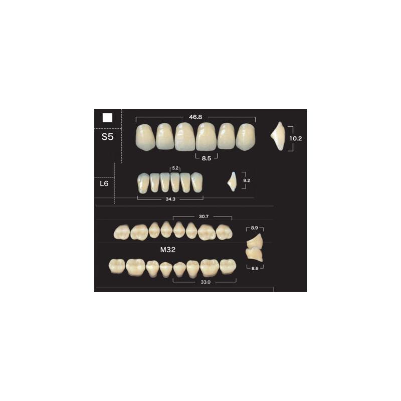 Зубы акриловые New Ace & Naperce цвет А3,5 фасон T2/M30 купить